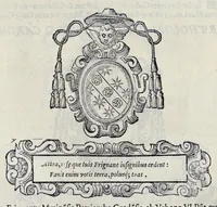 An illustration from Historiarvm seraphicae religionis libri tres, seriem temporum continentes, quibus breui explicantur fundamenta, uniuersiq[ue] ordinis amplificatio, gradus, et instituta; nec non uiri scientia, uirtutibus, et fama praeclari (1586)