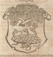 Picture 25 of 44 from Catalogvs gloriae mvndi D. Bartholomaei Cassanaei, Bvrgvndi, apvd Aqvas Sextias in Senatv decvriae praesidis, ac viri clarissimi : in qvo mvlta praeclara de praerogativis, praeeminentijs, maioritate, praestantijs, & excellentijs, continentur ... : opvs ... in XII. libros diuisum, nvnc denvo accvratissime emendatvm ac novis figvris elegantissime illustratum, ita vt facile omnes caeteras editiones antecellere possit (1579), leaf 126