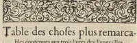 Picture 24 of 24 from Funerailles, & diuerses manieres d'enseuelir des Rommains, Grecs, & autres nations, tant anciennes que modernes (1581), leaf 563