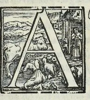 Picture 59 of 61 from Lettere d'Isabella Andreini padovana, comica gelosa, et academica intenta : nominata l'accesa (1612), leaf 324