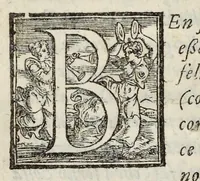Picture 61 of 61 from Lettere d'Isabella Andreini padovana, comica gelosa, et academica intenta : nominata l'accesa (1612), leaf 333