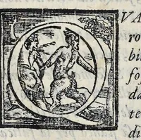 Picture 19 of 61 from Lettere d'Isabella Andreini padovana, comica gelosa, et academica intenta : nominata l'accesa (1612), leaf 88