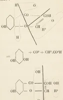 An illustration from Les plantes tinctoriales et leurs principes colorants (1901)