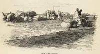 Picture 21 of 36 from Tombouctou la mystérieuse (1897), leaf 240