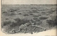 An illustration from Tombouctou la mystérieuse (1897)