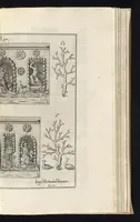 An illustration from Architectura civilis, das ist, Eigentlich Beschreibung wie Ma[nn] nach bester Form vnd gerechter Regul ... (1628)