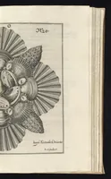 Picture 21 of 33 from Architectura civilis, das ist, Eigentlich Beschreibung wie Ma[nn] nach bester Form vnd gerechter Regul ... (1628), leaf 150
