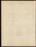 An illustration from The carpenter's assistant : containing a succinct account of Egyptian, Grecian and Roman architecture. Also, a description of the Tuscan, Doric, Ionic, Corinthian and composite orders; together with specifications, practical rules and tables for carpenters, and a glossary of architectural terms. Embellished with upwards of 200 plates of plans, elevations, details, and practical stair-building (1854)