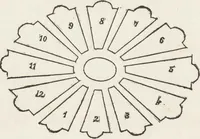 An illustration from The carpenter's assistant : containing a succinct account of Egyptian, Grecian and Roman architecture. Also, a description of the Tuscan, Doric, Ionic, Corinthian and composite orders; together with specifications, practical rules and tables for carpenters, and a glossary of architectural terms. Embellished with upwards of 200 plates of plans, elevations, details, and practical stair-building (1854)