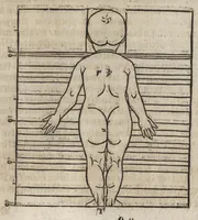 Picture 33 of 39 from Dess Circkelss vnd Richtscheyts, auch der Perspectiua, vnd Proportion der Menschen vnd Rosse, kurtze, doch gründtliche Vnderweisung, dess rechten gebrauchs : mit viel schönen Figuren, aller anfahenden Jugendt, vnnd andern liebhabern dieser Kunst, als Goldschmiden, Malern, Bildhauwern, Steinmetzen, Schreinern, [et]c. eigentlich fürgebildet, vormals im Truck nie gesehen, sonder jetzunder erstmals von neuwem an Tag gegeben (1618), leaf 108