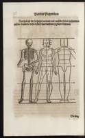 Picture 31 of 39 from Dess Circkelss vnd Richtscheyts, auch der Perspectiua, vnd Proportion der Menschen vnd Rosse, kurtze, doch gründtliche Vnderweisung, dess rechten gebrauchs : mit viel schönen Figuren, aller anfahenden Jugendt, vnnd andern liebhabern dieser Kunst, als Goldschmiden, Malern, Bildhauwern, Steinmetzen, Schreinern, [et]c. eigentlich fürgebildet, vormals im Truck nie gesehen, sonder jetzunder erstmals von neuwem an Tag gegeben (1618), leaf 97