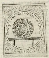 Picture 36 of 49 from Teatro d'imprese (1623), leaf 1043