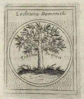 Picture 37 of 49 from Teatro d'imprese (1623), leaf 1063
