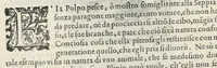 Picture 39 of 49 from Teatro d'imprese (1623), leaf 1077