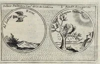 Picture 45 of 49 from Teatro d'imprese (1623), leaf 1156
