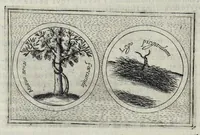 Picture 2 of 49 from Teatro d'imprese (1623), leaf 539