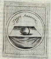 Picture 3 of 49 from Teatro d'imprese (1623), leaf 560