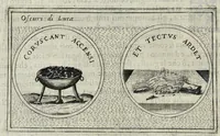 Picture 10 of 49 from Teatro d'imprese (1623), leaf 677