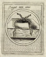 Picture 26 of 49 from Teatro d'imprese (1623), leaf 884