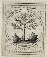 Picture 34 of 49 from Teatro d'imprese (1623), leaf 996