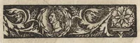 Picture 51 of 94 from Imperatorum et Caesarum vitæ : cum imaginibus ad uiuam effigiem expressis (1534), leaf 135