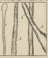 An illustration from Das Färben und Bleichen : von Baumwolle, Wolle, Seide, Jute, Leinen, etc : in unversponnenen Zustande, al Garn und al Stückware : Praktisches Hilfs- und Lehrbuch bearbeitet für Färber und Färberei-Chemiker, sowie zum Unterricht in Fachschulen, mit zahlreichen Maschinenzeichnungen (1889)