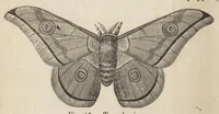 An illustration from Das Färben und Bleichen : von Baumwolle, Wolle, Seide, Jute, Leinen, etc : in unversponnenen Zustande, al Garn und al Stückware : Praktisches Hilfs- und Lehrbuch bearbeitet für Färber und Färberei-Chemiker, sowie zum Unterricht in Fachschulen, mit zahlreichen Maschinenzeichnungen (1889)