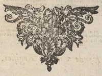 An illustration from Hollandtsche Mercurius : behelzende het ghedenckweerdighste in Christenrijck voor-ghevallen, binnen 't gantsche jaer .. (1650)