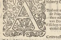 An illustration from Hollandtsche Mercurius : behelzende het ghedenckweerdighste in Christenrijck voor-ghevallen, binnen 't gantsche jaer .. (1650)