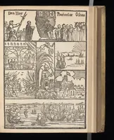 Picture 12 of 19 from Hollandtsche Mercurius : behelzende het ghedenckweerdighste in Christenrijck voor-ghevallen, binnen 't gantsche jaer .. (1650), leaf 334