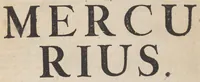 An illustration from Hollandtsche Mercurius : behelzende het ghedenckweerdighste in Christenrijck voor-ghevallen, binnen 't gantsche jaer .. (1650)