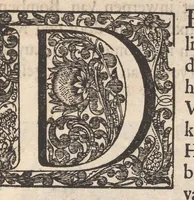 An illustration from Hollandtsche Mercurius : behelzende het ghedenckweerdighste in Christenrijck voor-ghevallen, binnen 't gantsche jaer .. (1650)