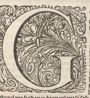 An illustration from Hollandtsche Mercurius : behelzende het ghedenckweerdighste in Christenrijck voor-ghevallen, binnen 't gantsche jaer .. (1650)