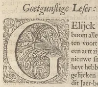 An illustration from Hollandtsche Mercurius : behelzende het ghedenckweerdighste in Christenrijck voor-ghevallen, binnen 't gantsche jaer .. (1650)