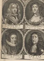 An illustration from Hollandtsche Mercurius : behelzende het ghedenckweerdighste in Christenrijck voor-ghevallen, binnen 't gantsche jaer .. (1650)