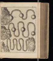 Picture 6 of 11 from Hollandtsche Mercurius : behelzende het ghedenckweerdighste in Christenrijck voor-ghevallen, binnen 't gantsche jaer .. (1650), leaf 408