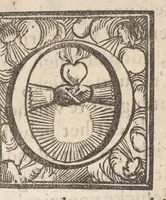 An illustration from Hollandtsche Mercurius : behelzende het ghedenckweerdighste in Christenrijck voor-ghevallen, binnen 't gantsche jaer .. (1650)