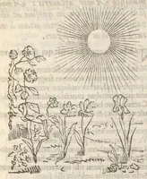 An illustration from Guilielmi HesI Antuerpiensis è Societate Iesu Emblemata sacra de fide, spe, charitate (1636)