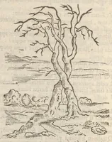 An illustration from Guilielmi HesI Antuerpiensis è Societate Iesu Emblemata sacra de fide, spe, charitate (1636)