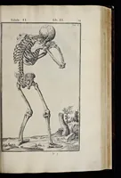 Picture 3 of 43 from Adriani Spigelii Bruxellensis equitis D. Marci, olim in Patavino gymnasio anatomiae et chirurgiae professoris primarii Opera quae extant, omnia (1645), leaf 358