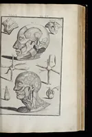 Picture 7 of 43 from Adriani Spigelii Bruxellensis equitis D. Marci, olim in Patavino gymnasio anatomiae et chirurgiae professoris primarii Opera quae extant, omnia (1645), leaf 376