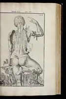 Picture 8 of 43 from Adriani Spigelii Bruxellensis equitis D. Marci, olim in Patavino gymnasio anatomiae et chirurgiae professoris primarii Opera quae extant, omnia (1645), leaf 380