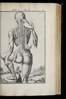 An illustration from Adriani Spigelii Bruxellensis equitis D. Marci, olim in Patavino gymnasio anatomiae et chirurgiae professoris primarii Opera quae extant, omnia (1645)