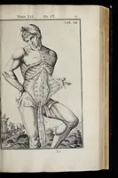 Picture 12 of 43 from Adriani Spigelii Bruxellensis equitis D. Marci, olim in Patavino gymnasio anatomiae et chirurgiae professoris primarii Opera quae extant, omnia (1645), leaf 398