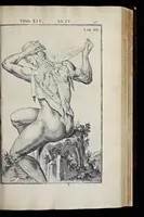 An illustration from Adriani Spigelii Bruxellensis equitis D. Marci, olim in Patavino gymnasio anatomiae et chirurgiae professoris primarii Opera quae extant, omnia (1645)