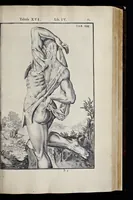 An illustration from Adriani Spigelii Bruxellensis equitis D. Marci, olim in Patavino gymnasio anatomiae et chirurgiae professoris primarii Opera quae extant, omnia (1645)