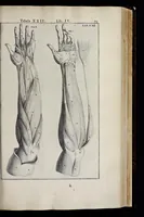 Picture 16 of 43 from Adriani Spigelii Bruxellensis equitis D. Marci, olim in Patavino gymnasio anatomiae et chirurgiae professoris primarii Opera quae extant, omnia (1645), leaf 418