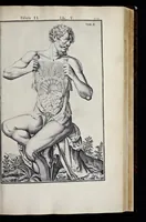 An illustration from Adriani Spigelii Bruxellensis equitis D. Marci, olim in Patavino gymnasio anatomiae et chirurgiae professoris primarii Opera quae extant, omnia (1645)