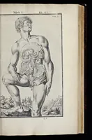 An illustration from Adriani Spigelii Bruxellensis equitis D. Marci, olim in Patavino gymnasio anatomiae et chirurgiae professoris primarii Opera quae extant, omnia (1645)