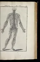 Picture 27 of 43 from Adriani Spigelii Bruxellensis equitis D. Marci, olim in Patavino gymnasio anatomiae et chirurgiae professoris primarii Opera quae extant, omnia (1645), leaf 474